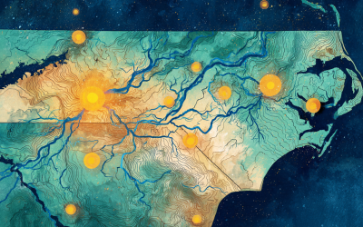 Psychedelic Therapy in Georgia, Tennessee & the Carolinas: Access Now
